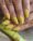 Manicure na Vila Buarque - São Paulo - Swze Hair